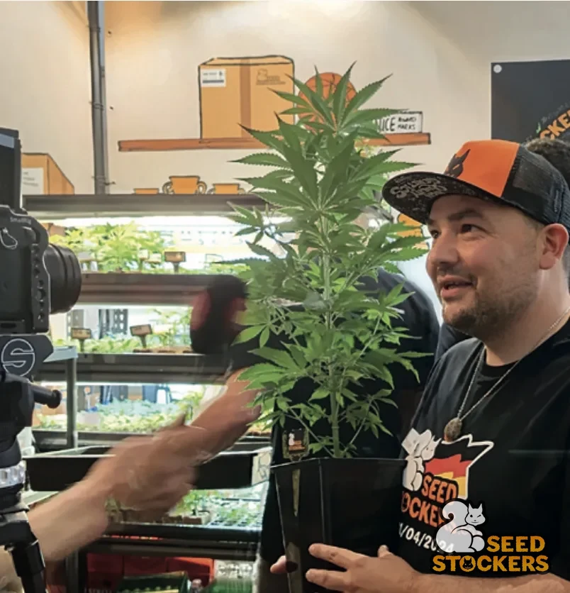 Jouke Piepenbrink, fundador da Seedstockers, com uma planta de cannabis em um grow shop