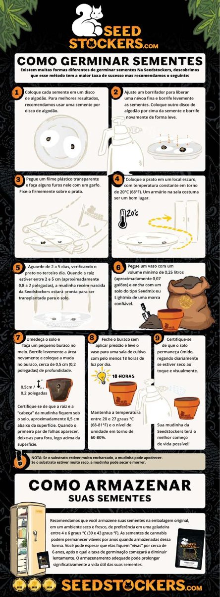 Capa do guia rápido grátis de germinação de sementes de cannabis da Seedstockers