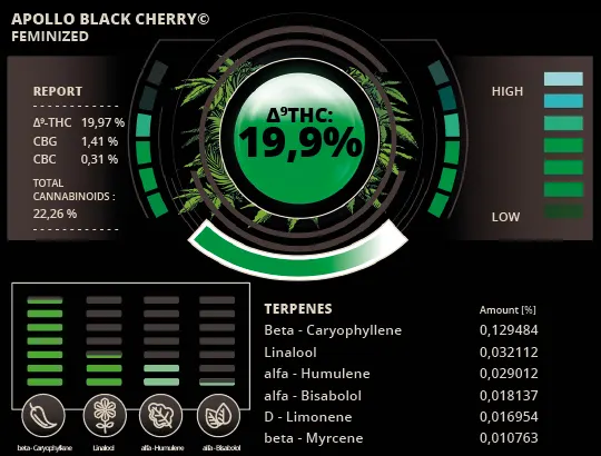 Pré-visualização do laudo — Apollo Black Cherry© Sementes Feminizadas