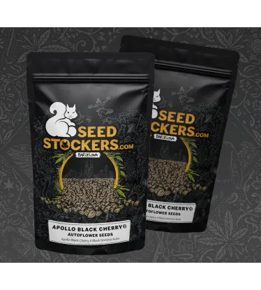 Embalagem