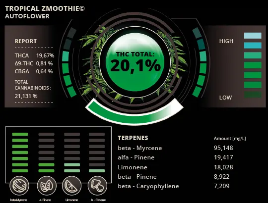 Pré-visualização do laudo — Tropical Zmoothie© Sementes Autoflorescentes