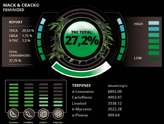 Pré-visualização do laudo — Mack and Crack© Sementes Feminizadas