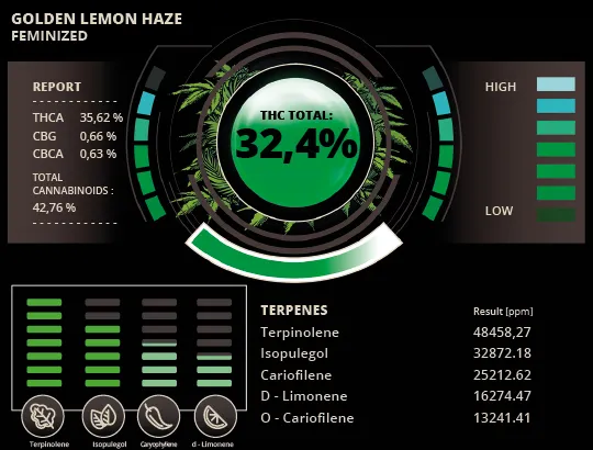 Pré-visualização do laudo — Golden Lemon Haze Sementes Feminizadas