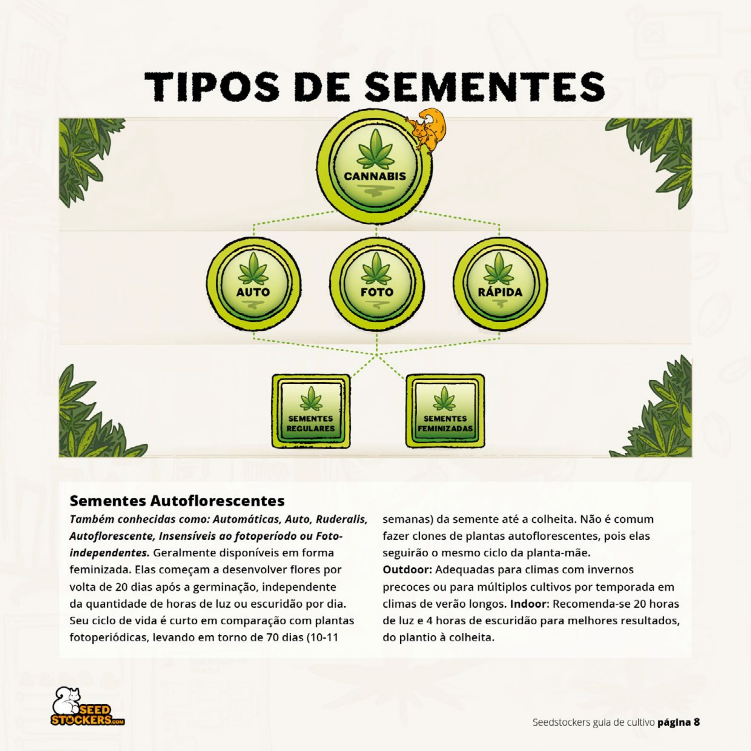 Página 10 do guia de cultivo de colecionáveis Seedstockers