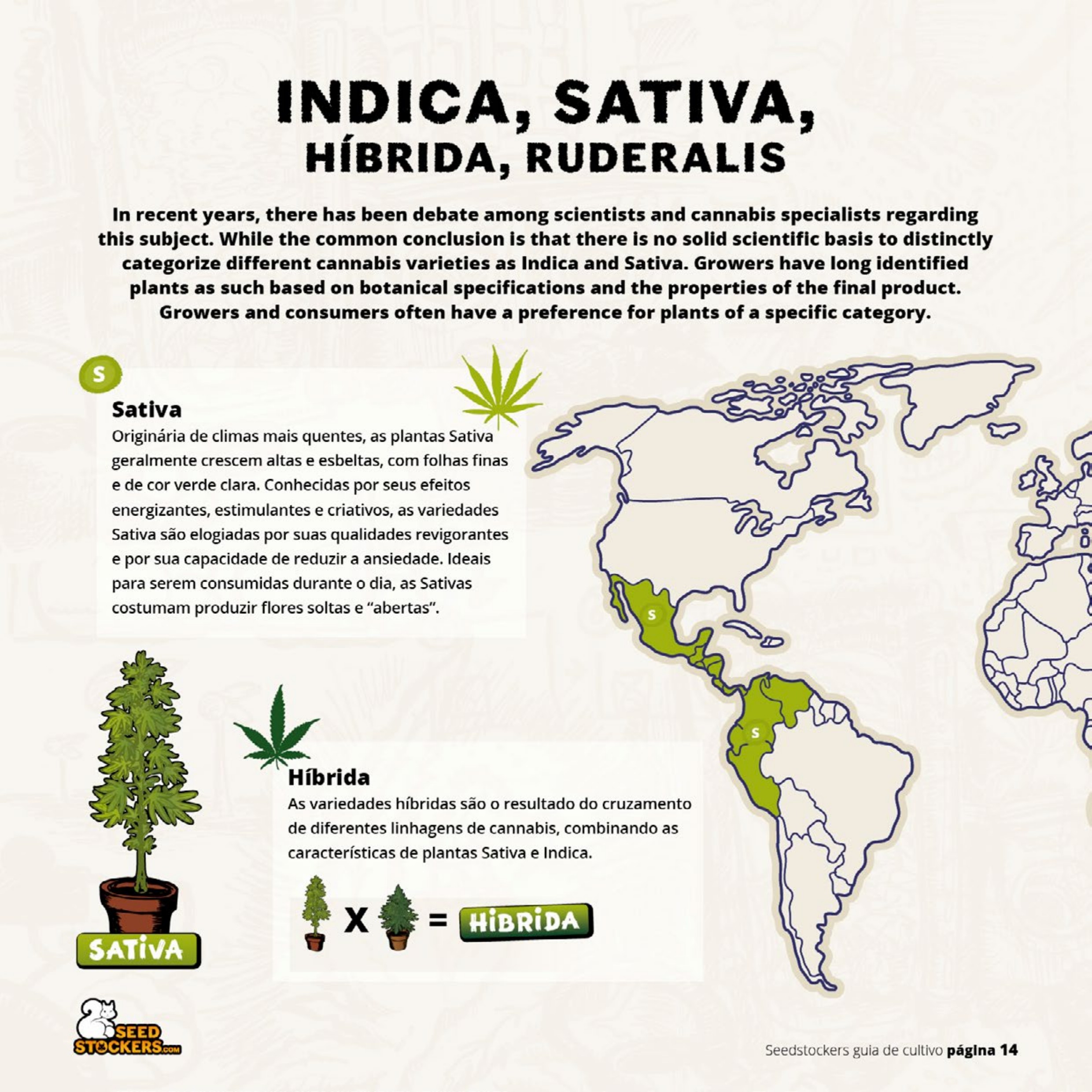 Página 16 do guia de cultivo de colecionáveis Seedstockers