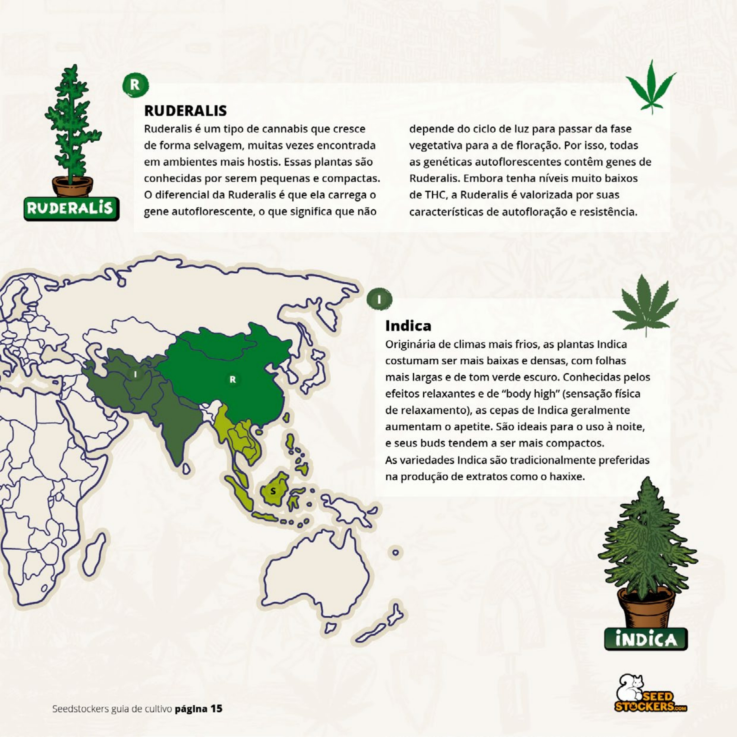 Página 17 do guia de cultivo de colecionáveis Seedstockers