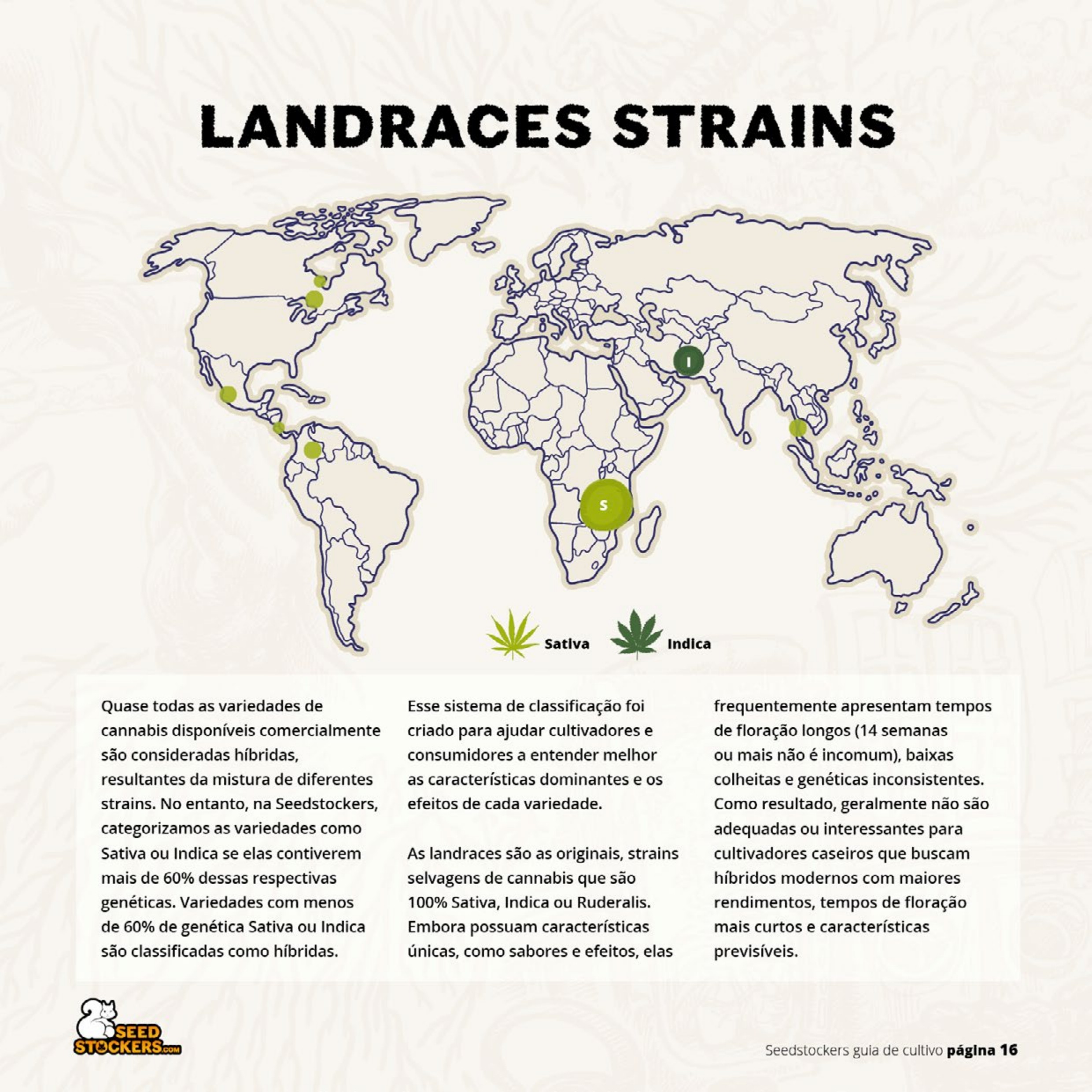 Página 18 do guia de cultivo de colecionáveis Seedstockers