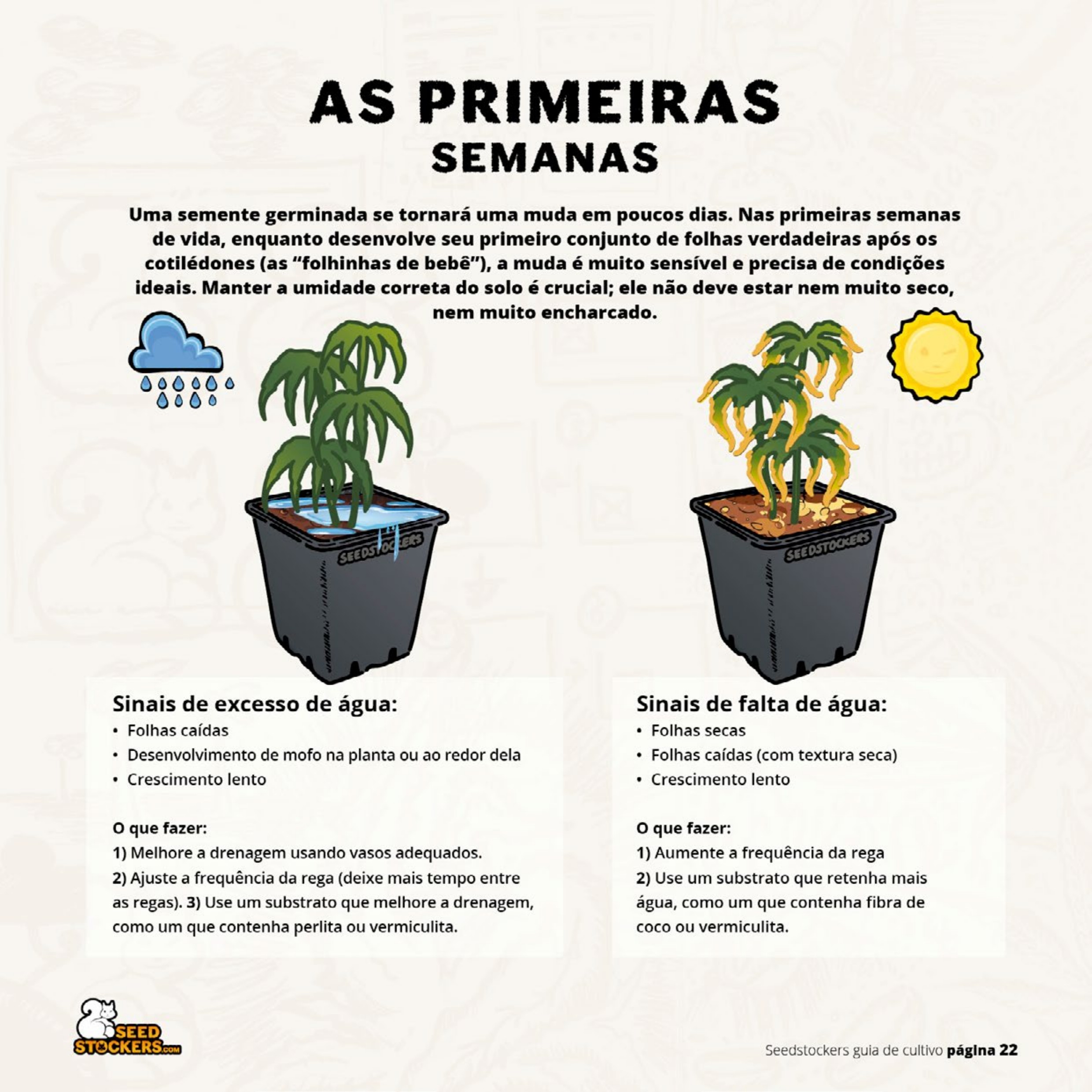 Página 24 do guia de cultivo de colecionáveis Seedstockers