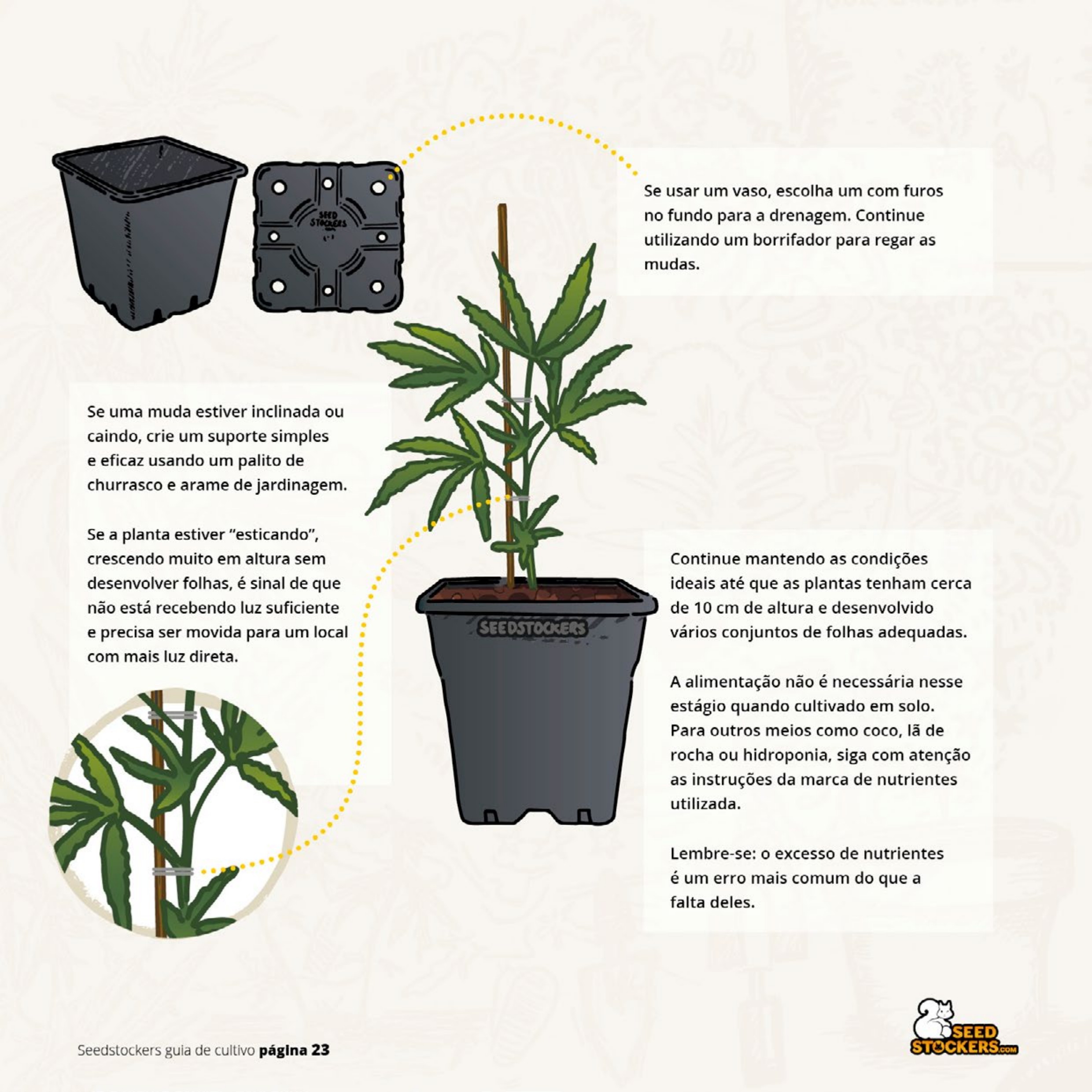 Página 25 do guia de cultivo de colecionáveis Seedstockers