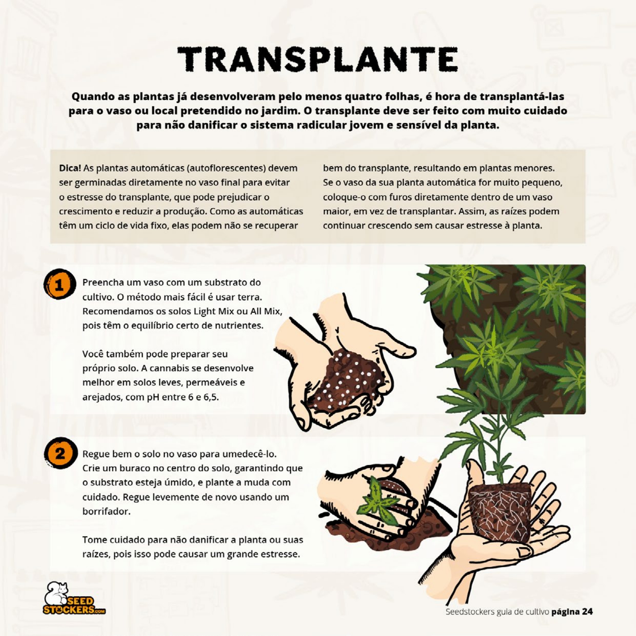 Página 26 do guia de cultivo de colecionáveis Seedstockers