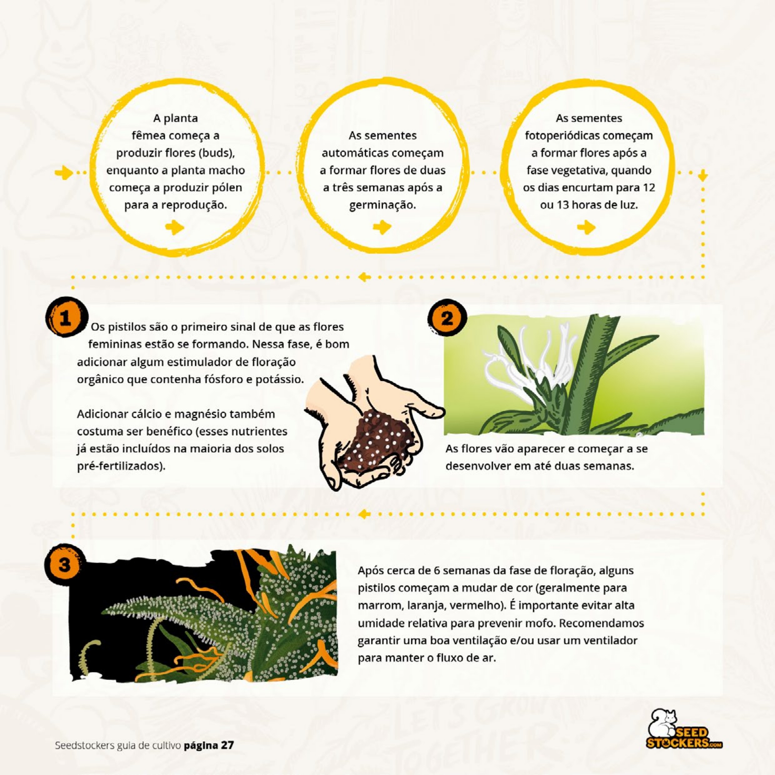 Página 29 do guia de cultivo de colecionáveis Seedstockers