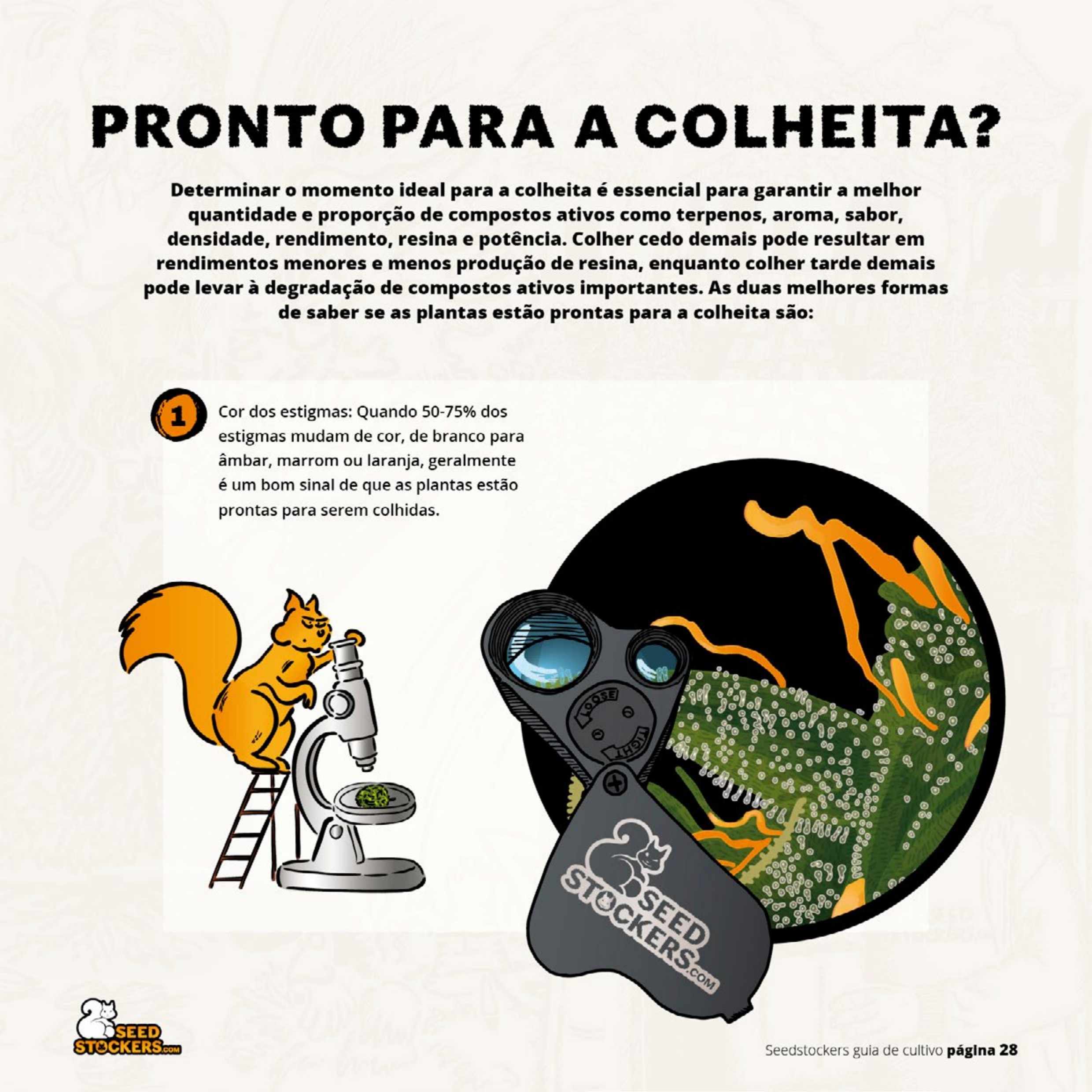 Prévia da página 30 do guia de cultivo