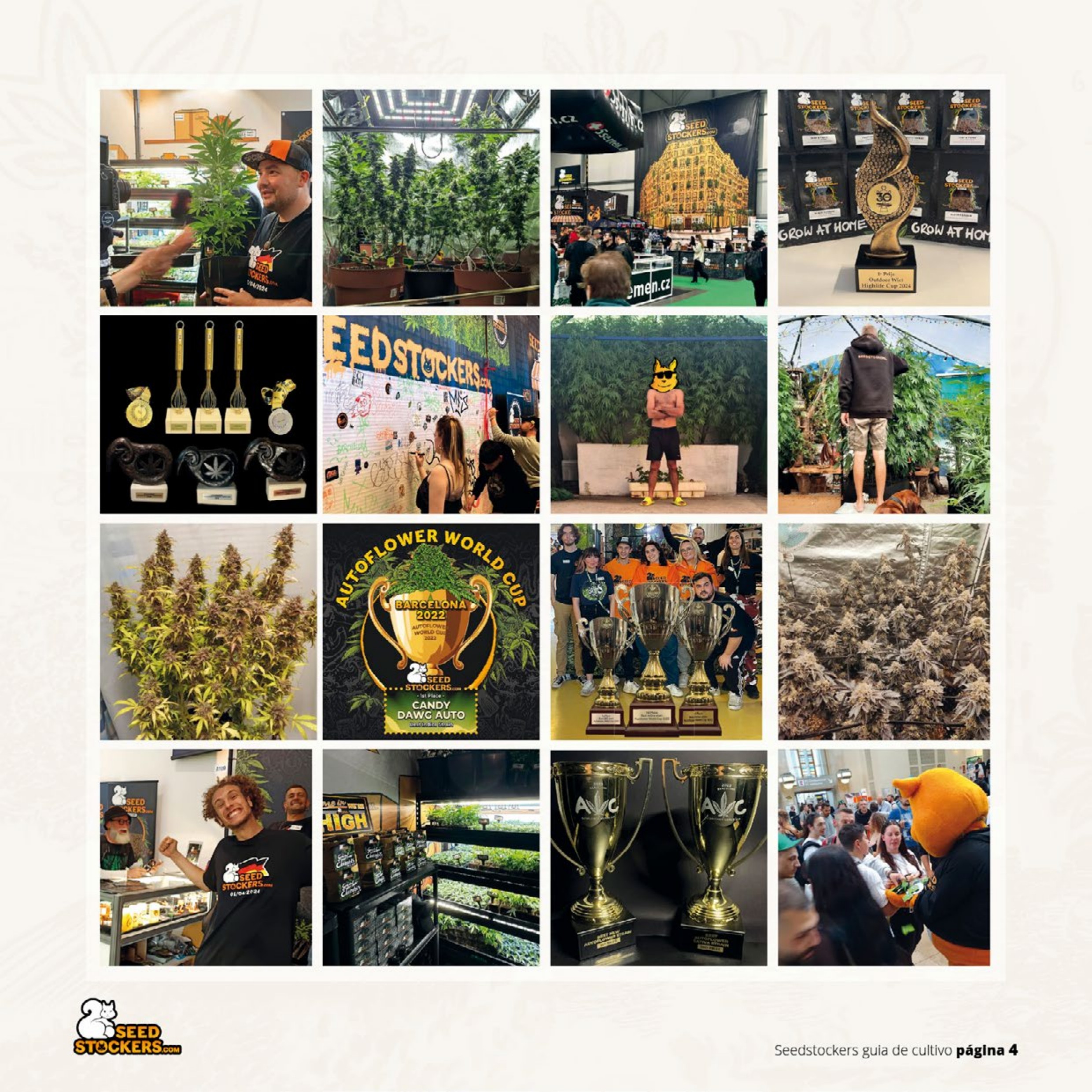Página 6 do guia de cultivo de colecionáveis Seedstockers